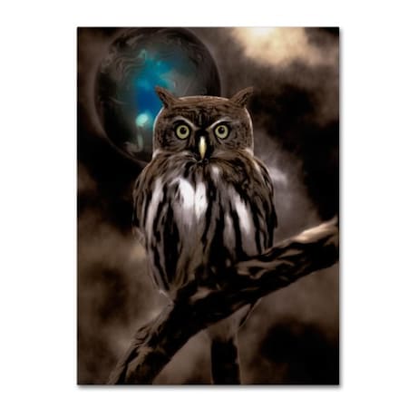 Color Bakery 'Night Owl' Canvas Art,18x24